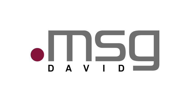 msg DAVID GmbH