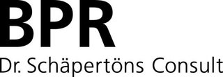 Firmenlogo von BPR  Dr. Schäpertöns Consult GmbH & Co. KG