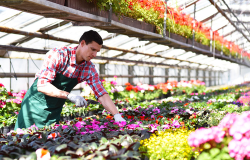 Ausbildung Gärtner/in der Fachrichtung Obstbau beim Top Ausbilder